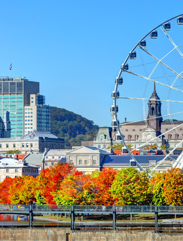 Grande roue dans un paysage urbain 